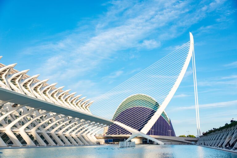 Bridging the Gap Between Science and Policy with an MPH