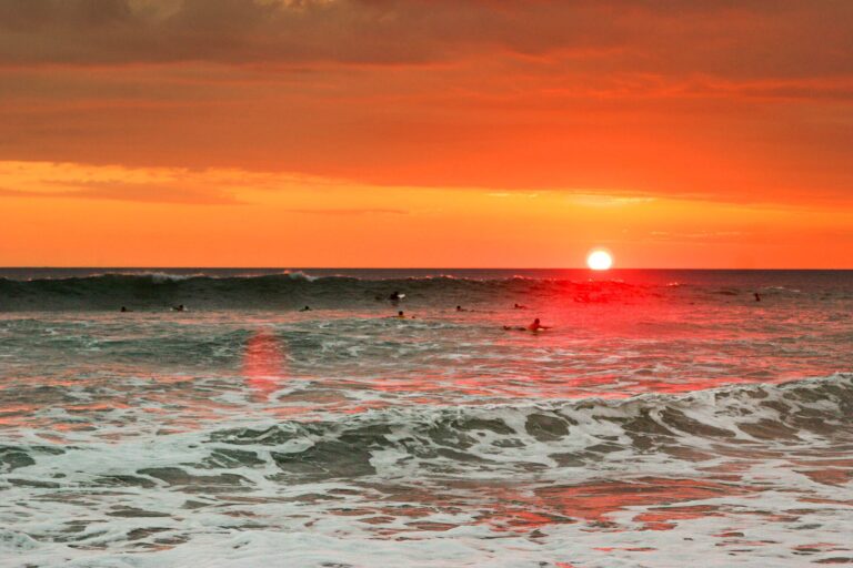 Finding the Perfect Break: A Guide to Costa Rica's Ultimate Surf Hotels