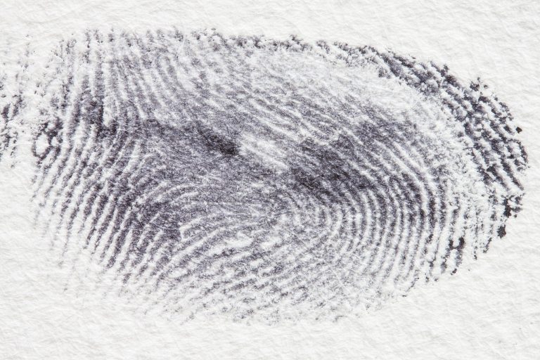 Fingerprint, dactylogram, papillary ridges — Liability Limits Search Improves Legal Efficiency and Claim Transparency