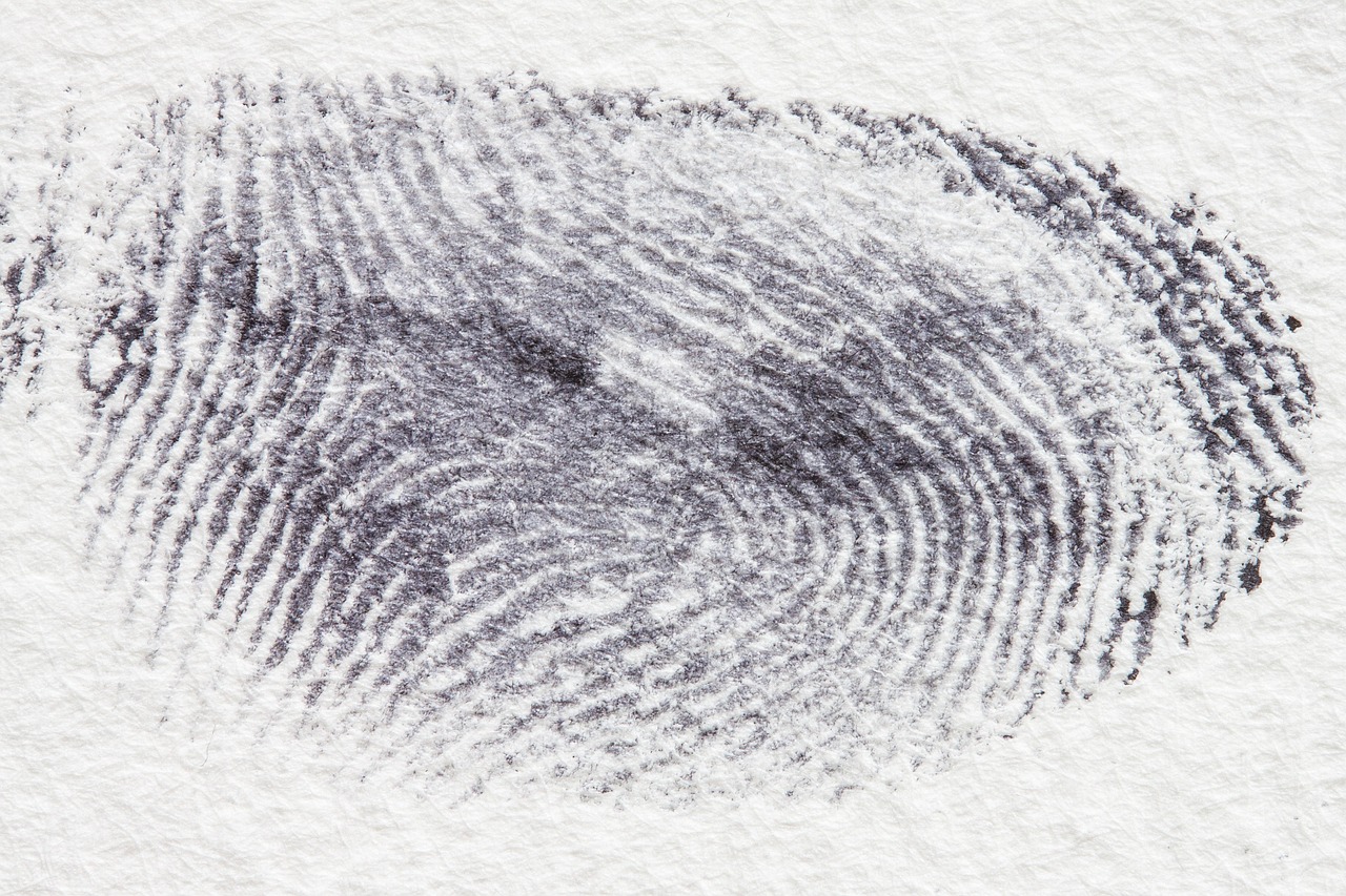 Fingerprint, dactylogram, papillary ridges — Liability Limits Search Improves Legal Efficiency and Claim Transparency