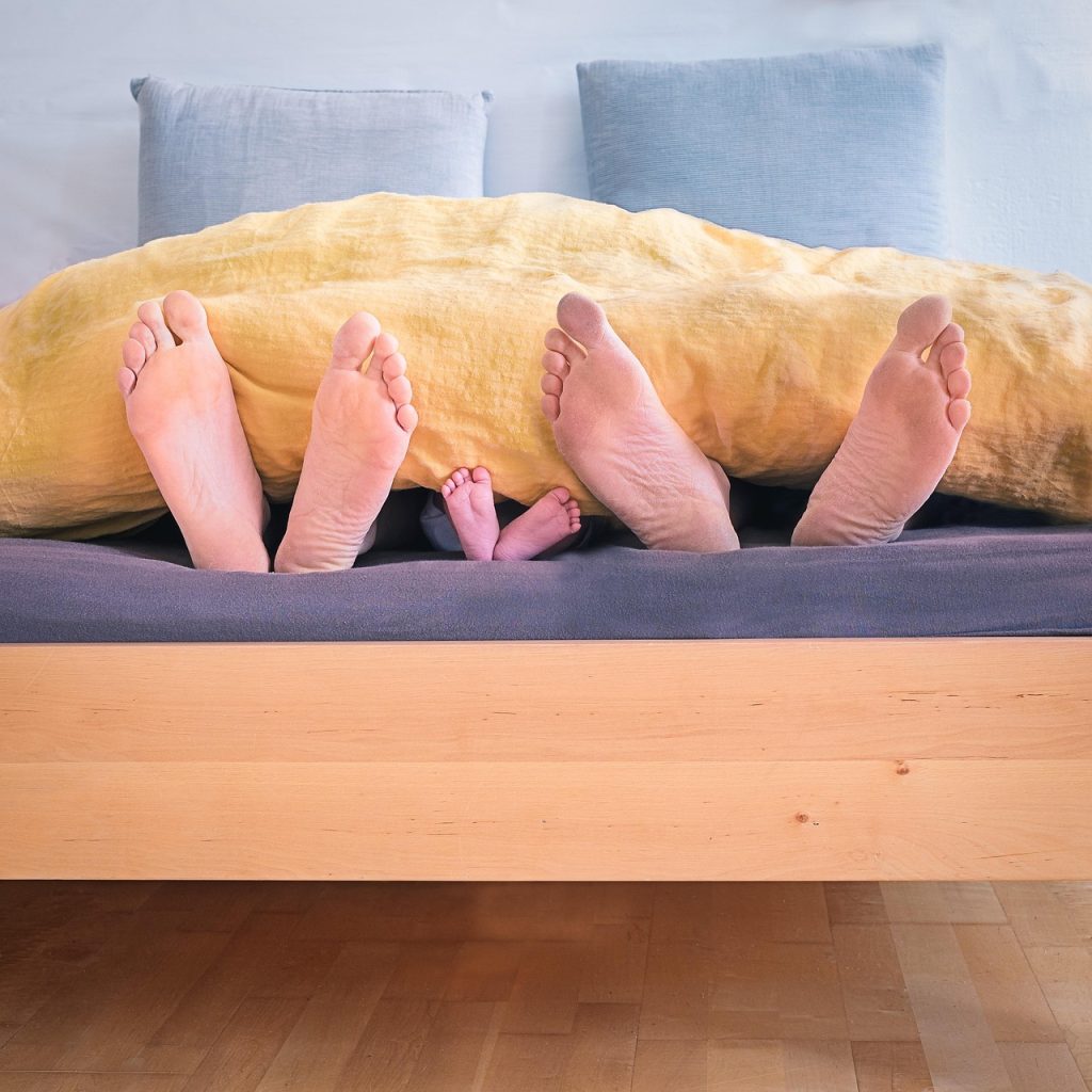 Wooden, inside, wood — SEO Company - SEO Company | Expert Search Engine Optimization Services