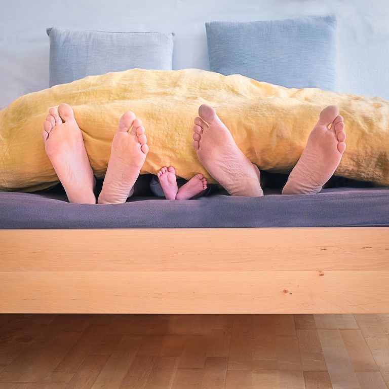Wooden, inside, wood — SEO Company - SEO Company | Expert Search Engine Optimization Services