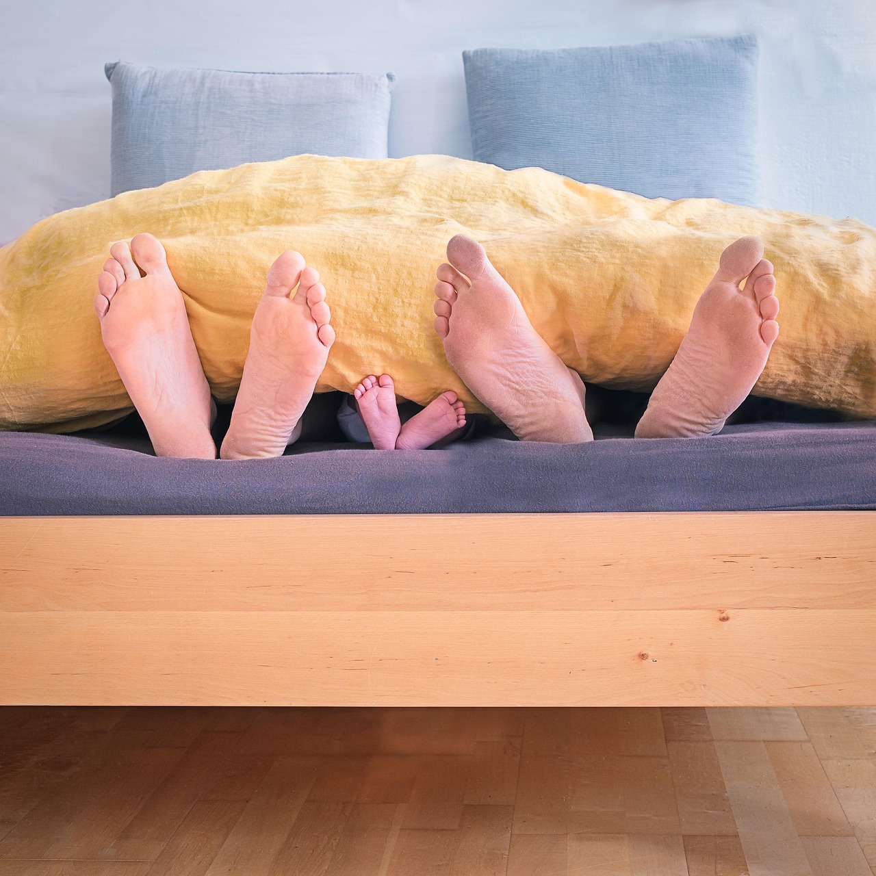 Wooden, inside, wood — SEO Company - SEO Company | Expert Search Engine Optimization Services