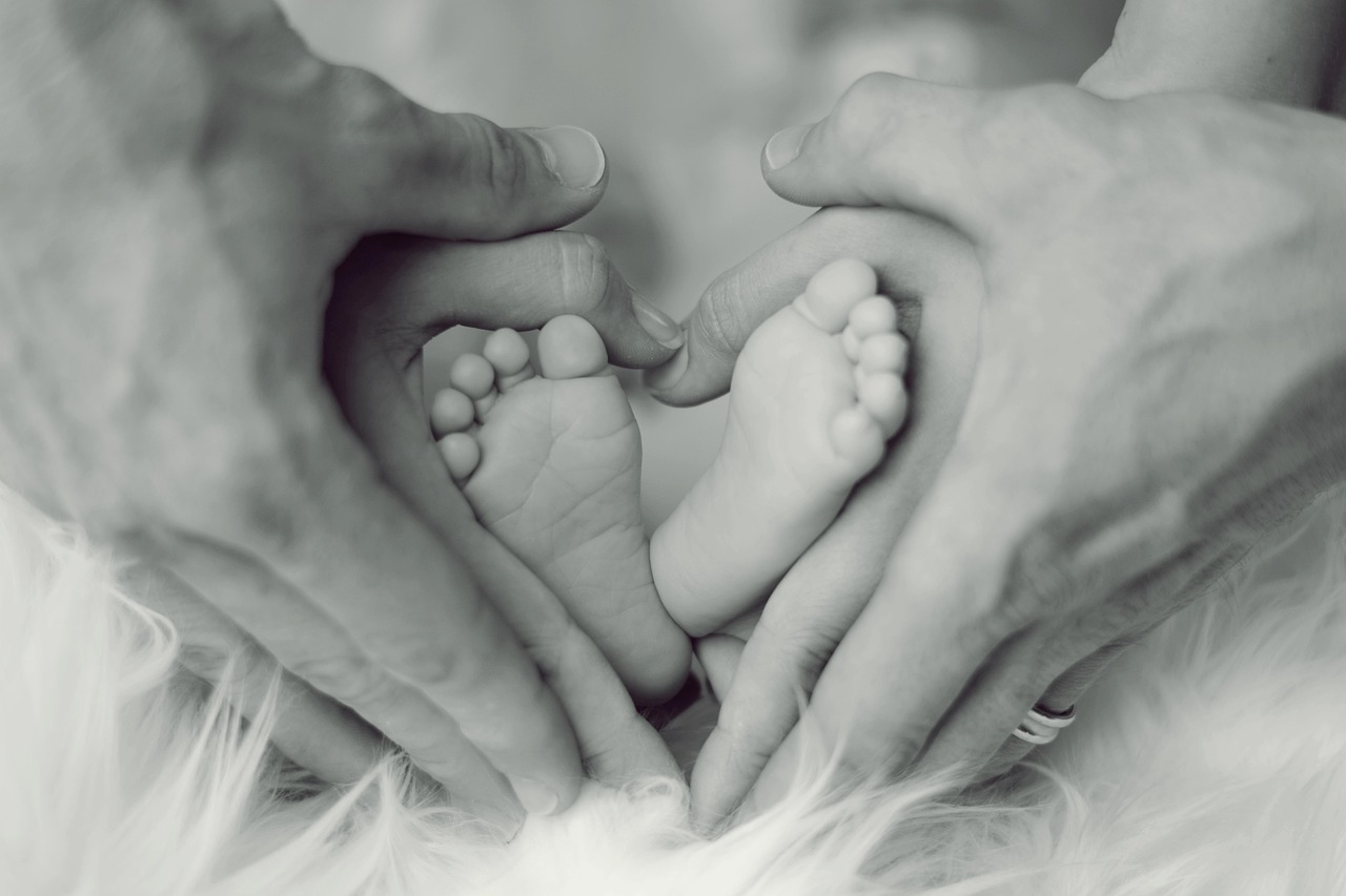 Infant, feet, father — The Economics of Premium Companionship: Trends and Statistics